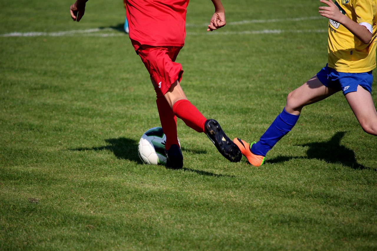 世界羽联删除何冰娇女单排名,背后的原因与影响 世界羽联删除何冰娇女单排名,背后的原因与影响