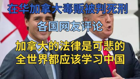 详尽指南，深度解析可转债申购的全过程——掌握理财新工具