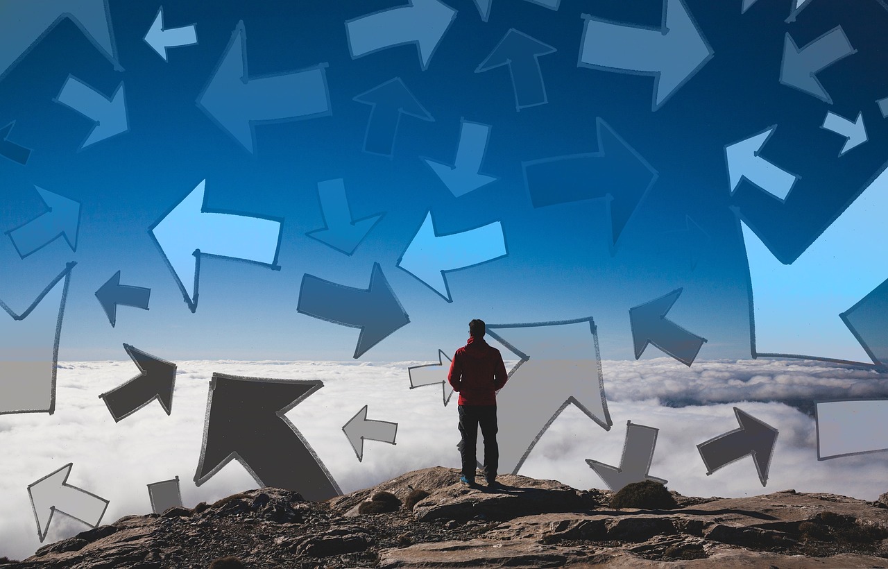 深度解析,探秘股票002170——行业领军,未来增长潜力分析 深度解析,探秘股票002170——行业领军,未来增长潜力分析