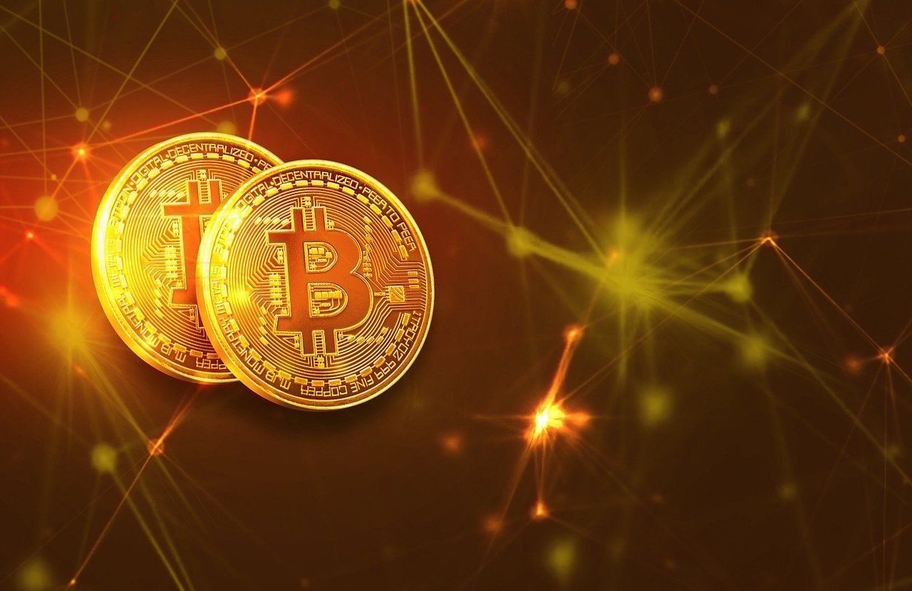 深度解析，基金481001——挖掘稳健投资的蓝筹宝库