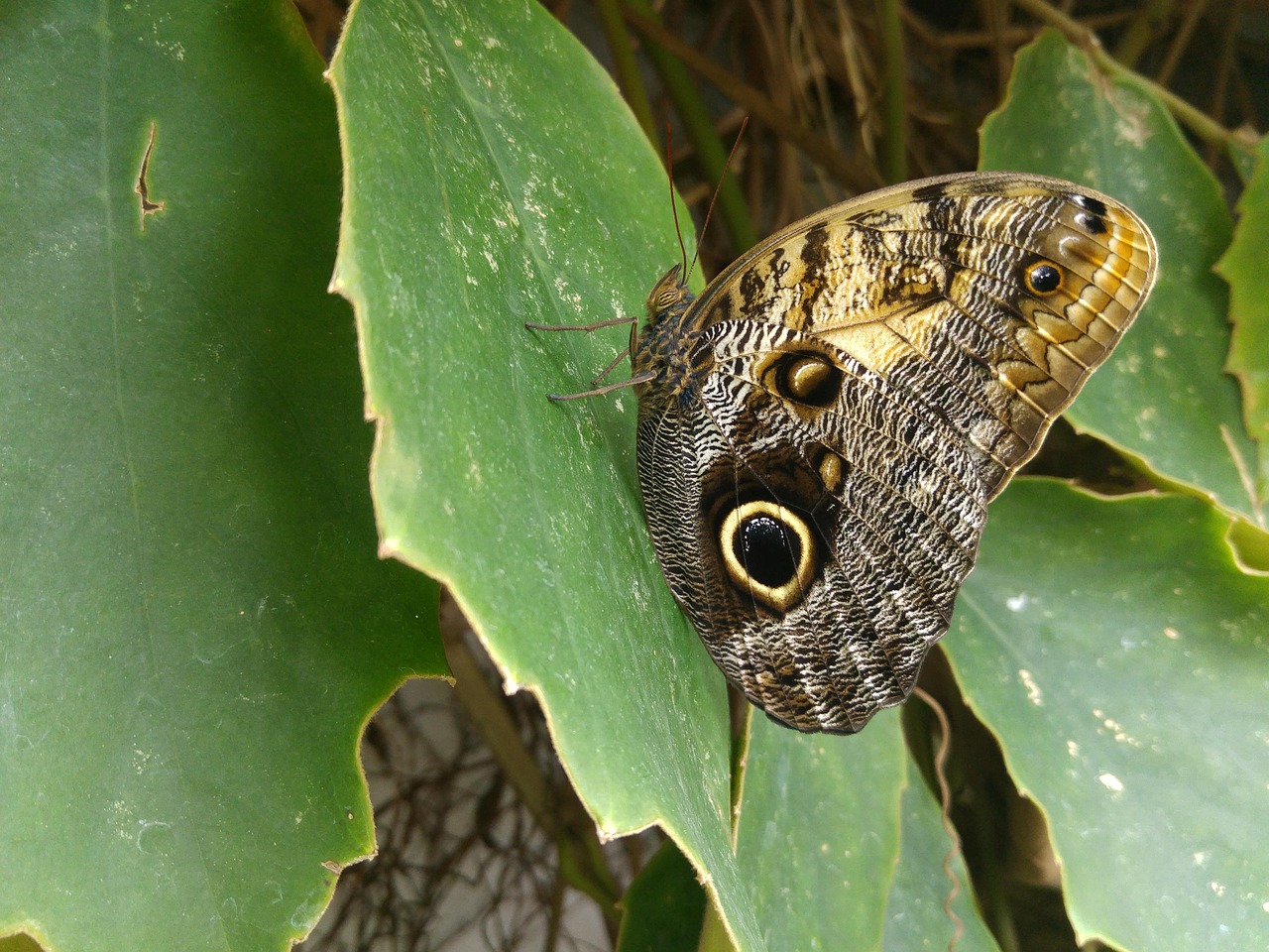西安疫情新动态,昨日新增1例本土确诊,市民生活与防控措施全解析 西安疫情新动态,昨日新增1例本土确诊,市民生活与防控措施全解析