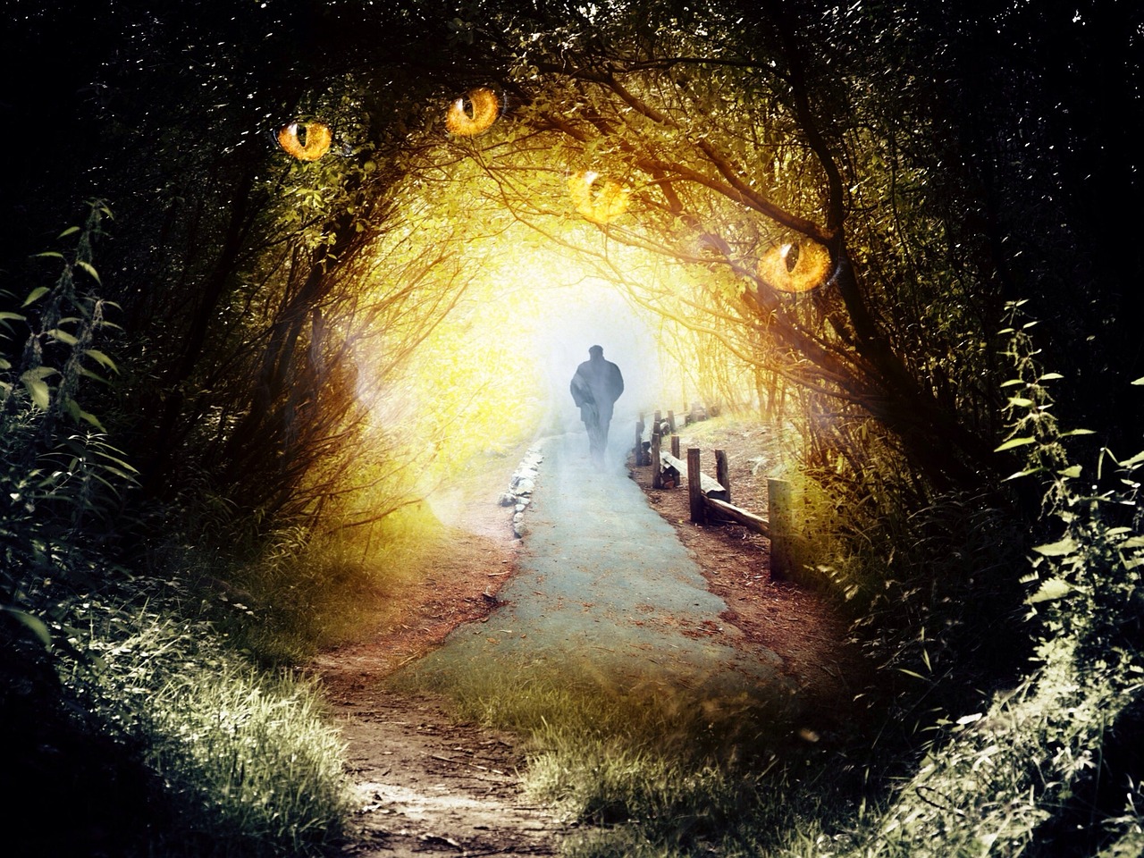 数字密码,揭秘001223背后的神秘世界 数字密码,揭秘001223背后的神秘世界