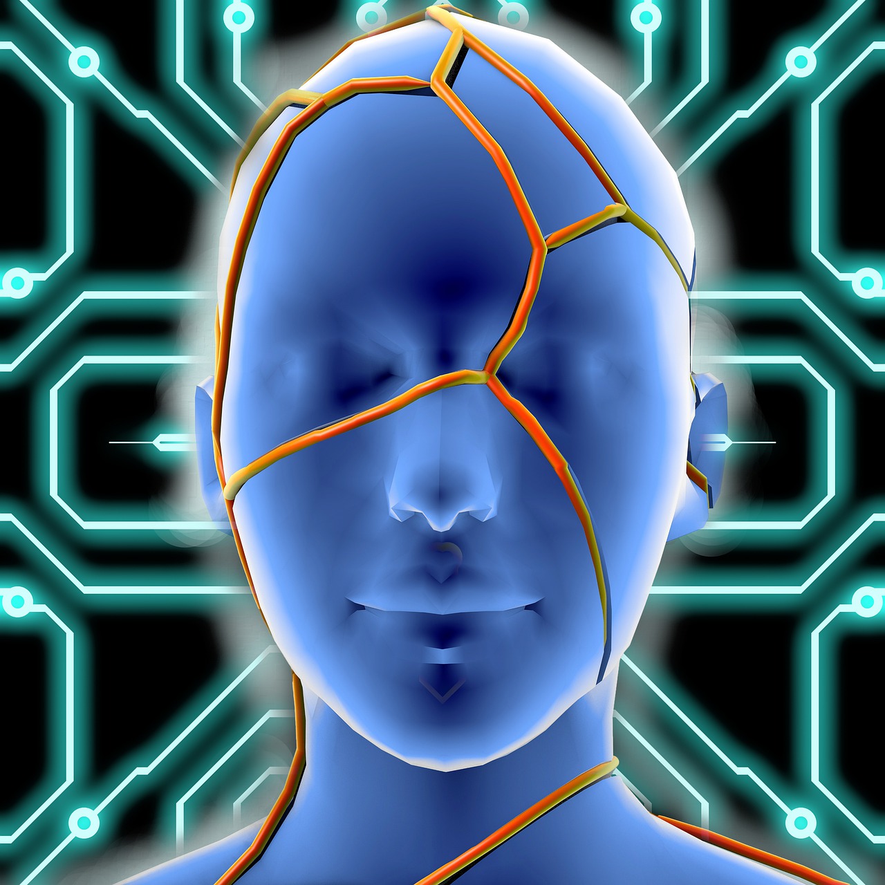 探索000061，数字背后的世界与未来