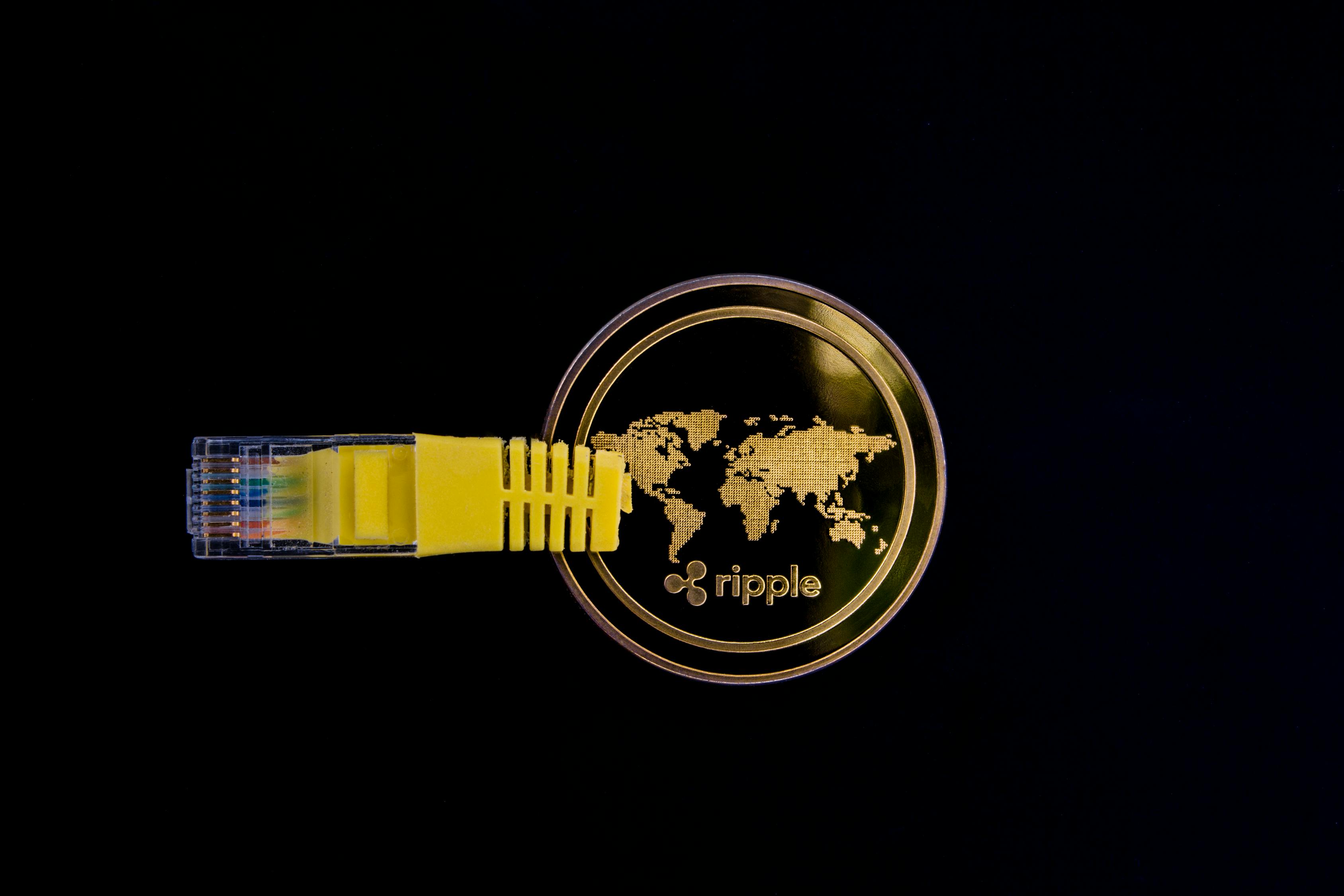 探索数字000665的神秘世界，生活中的数字密码