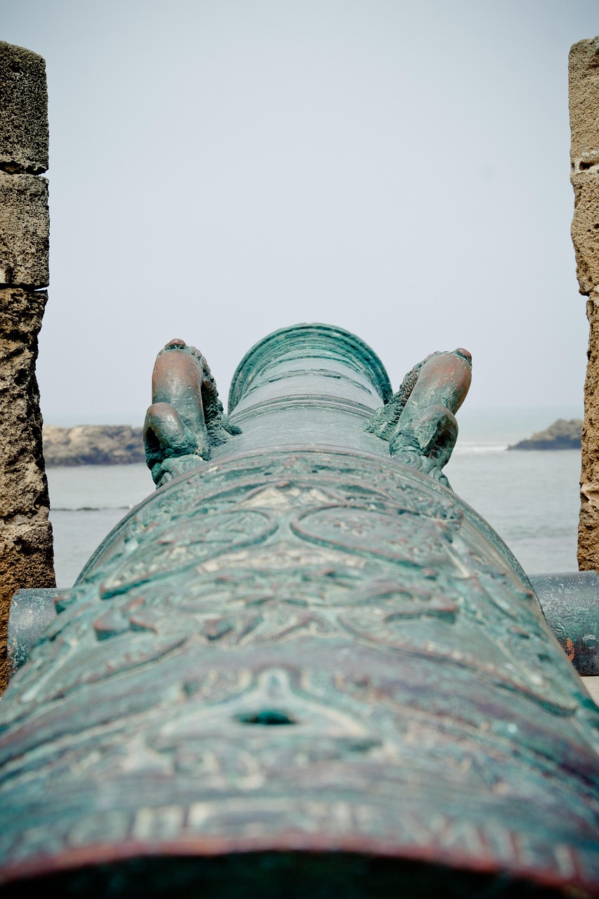 全国疫情最新动态，防控措施、疫苗接种与未来展望