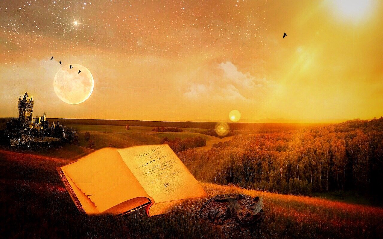 解码数字序列,000540背后隐藏的神秘故事 解码数字序列,000540背后隐藏的神秘故事