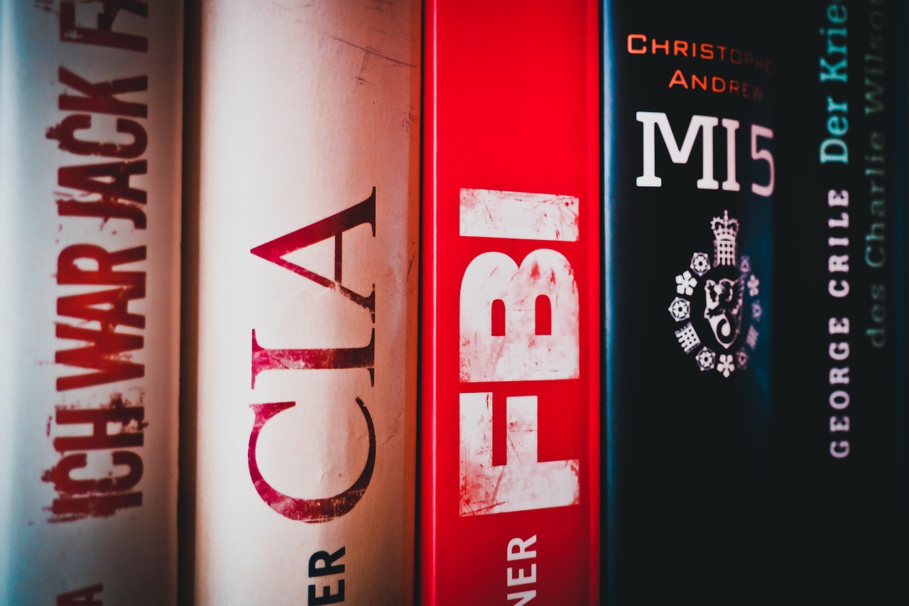 探索风险投资的奥秘,关键理论一览 探索风险投资的奥秘,关键理论一览