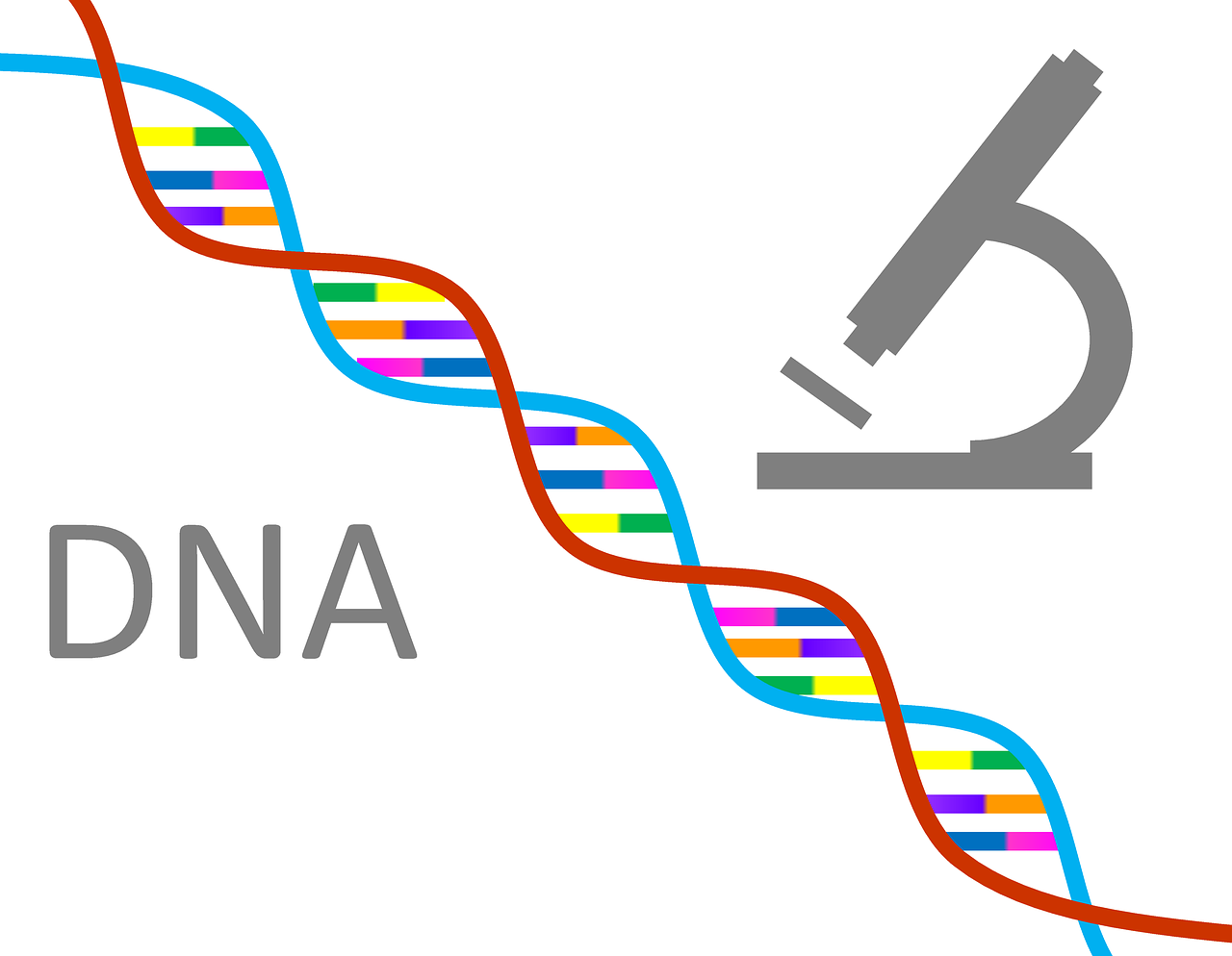 探索生命科学的奇迹，冠昊生物的创新之旅