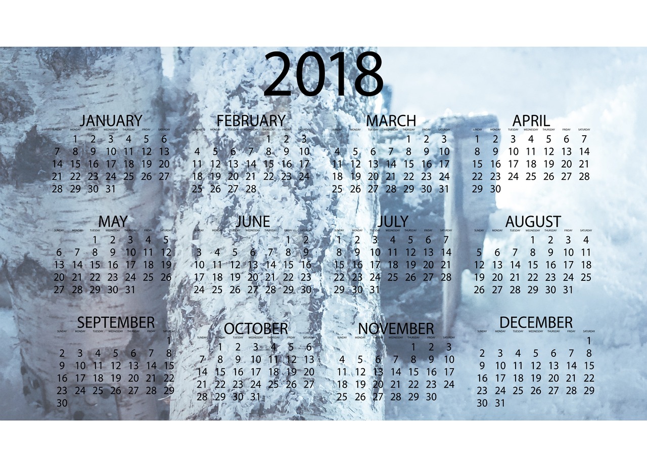 2月财经日历，全球经济动态与市场焦点解析