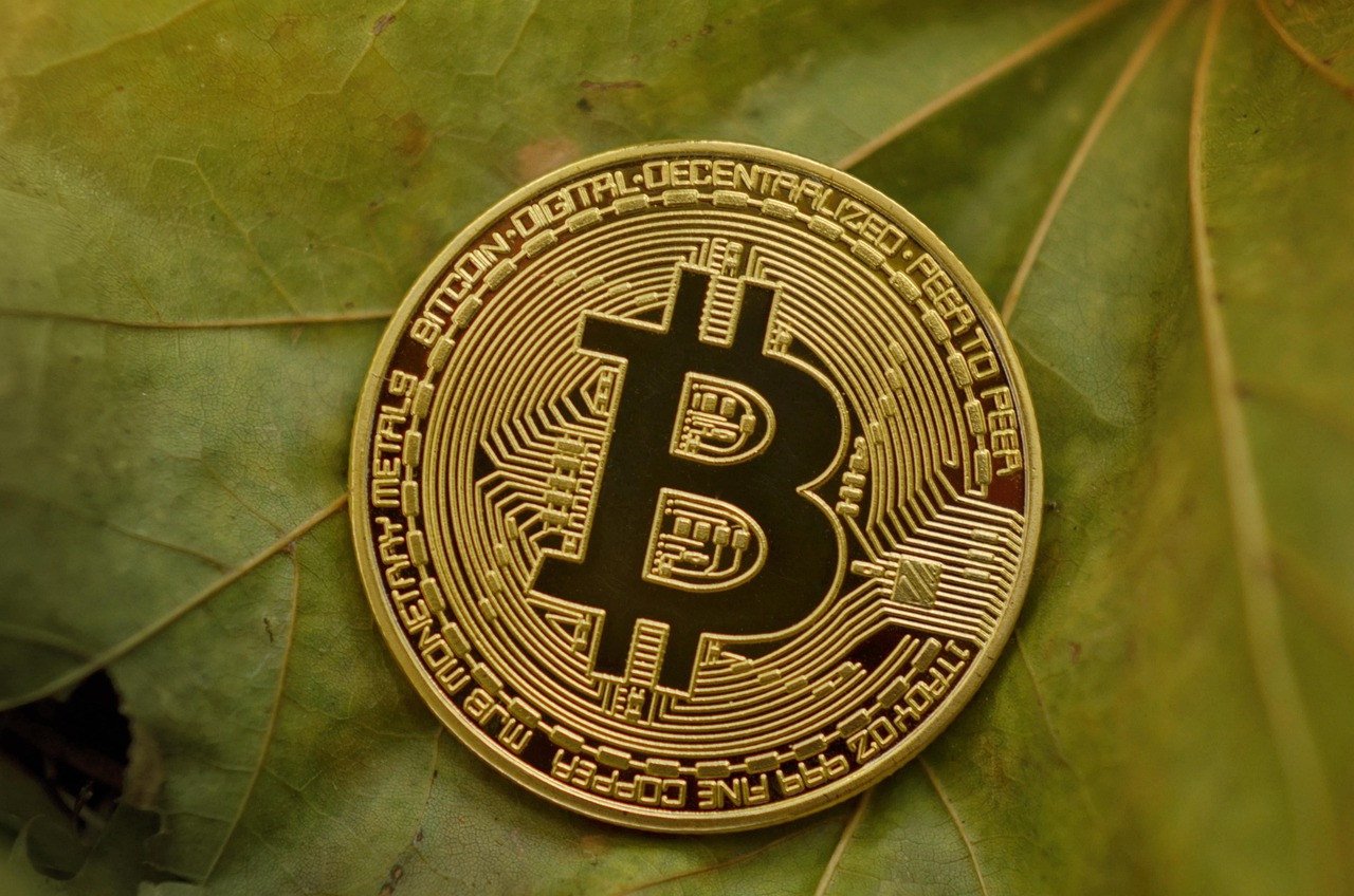 解码数字密码，833230如何塑造我们的未来