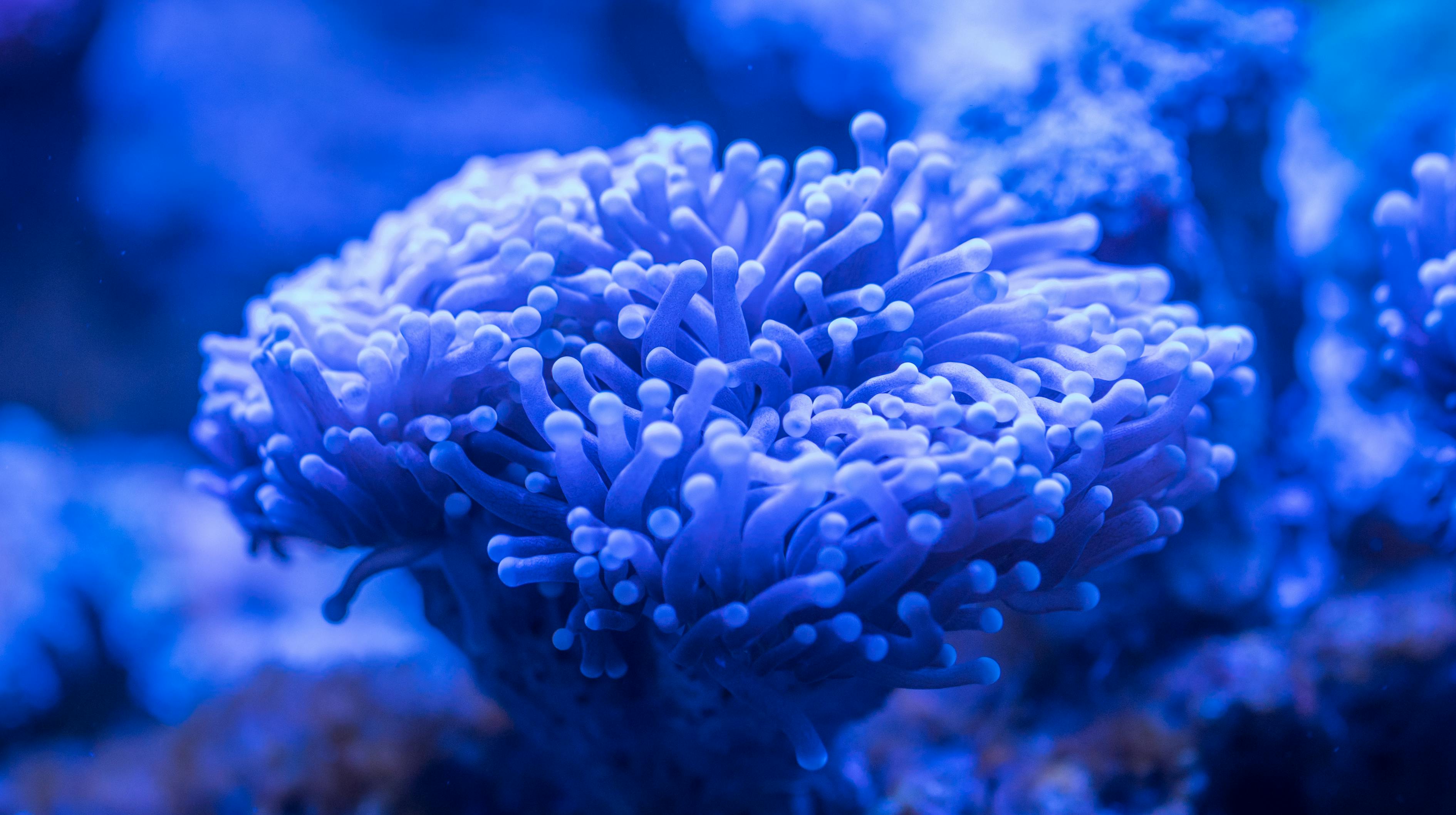 热景生物，生物科技领域的新星，如何引领健康产业的未来？