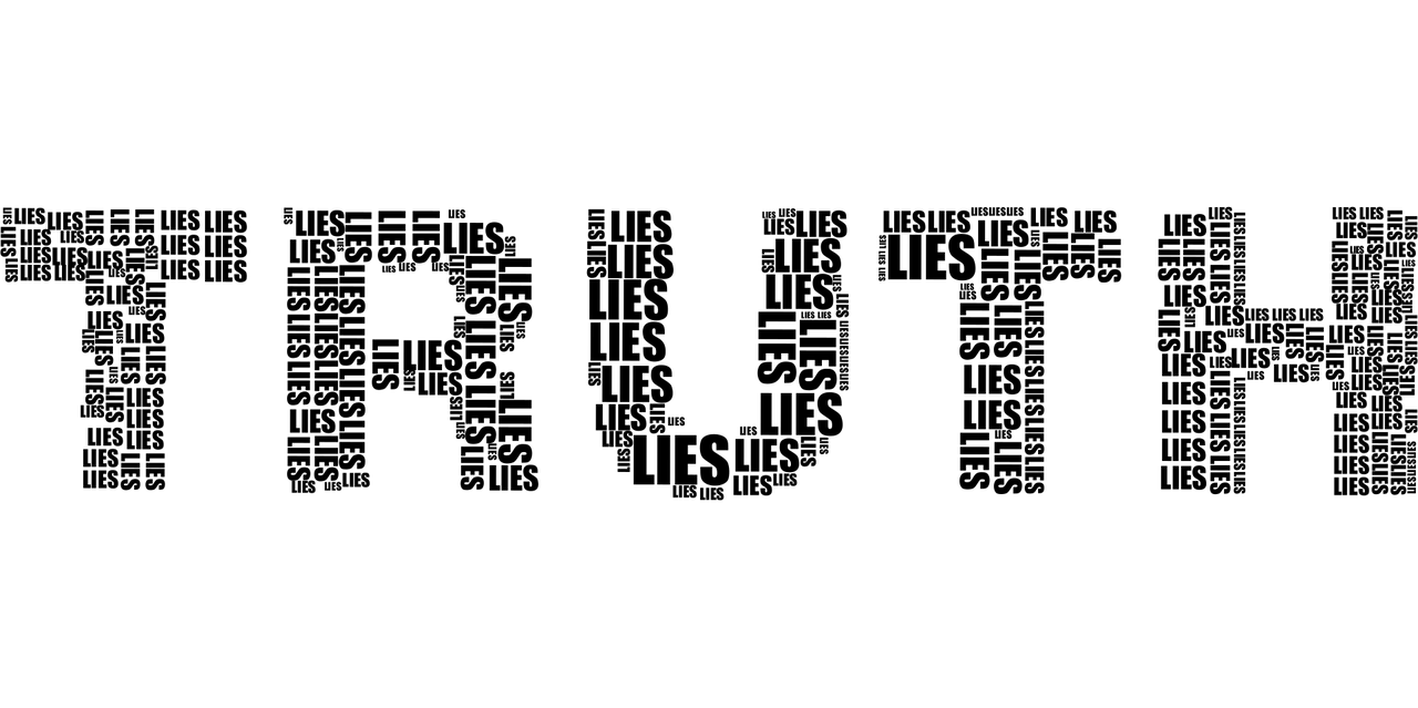 兴全合宜，投资智慧与生活哲学的融合