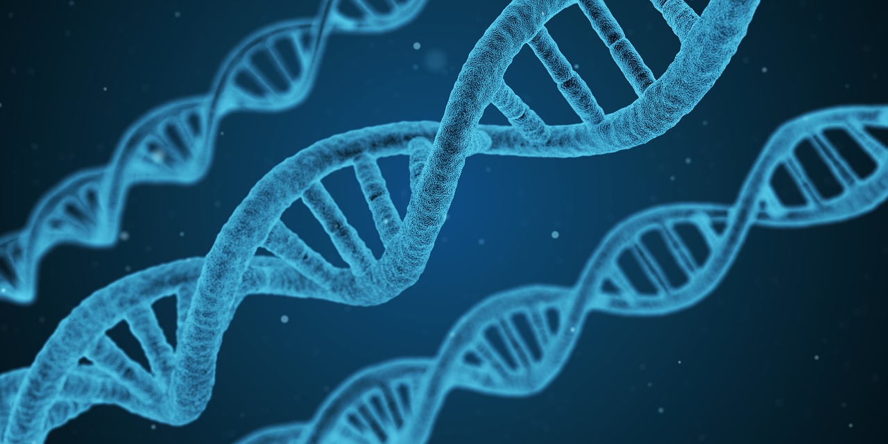康泰生物，守护健康的科技先锋