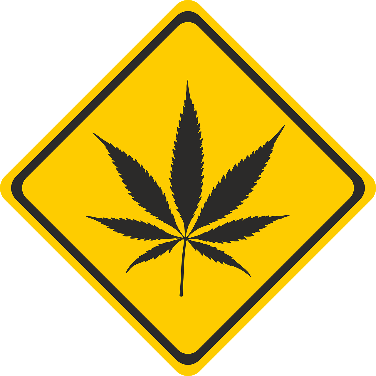 深入了解华兰疫苗，保护健康的科学盾牌